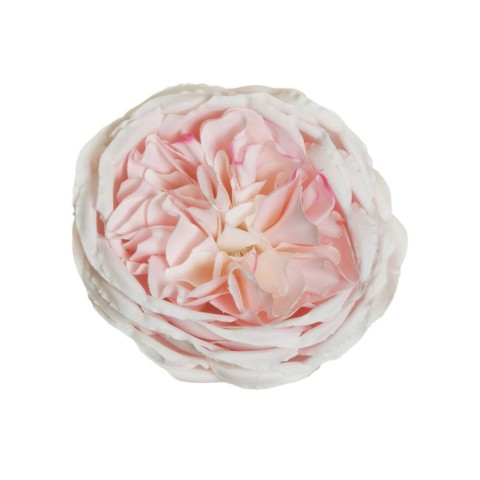 PICK ROSA AUSTIN D10 H5 LIGHT PINK